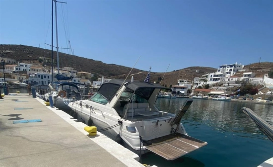 Sea Ray Sundancer 290 1996 de segunda mano en venta