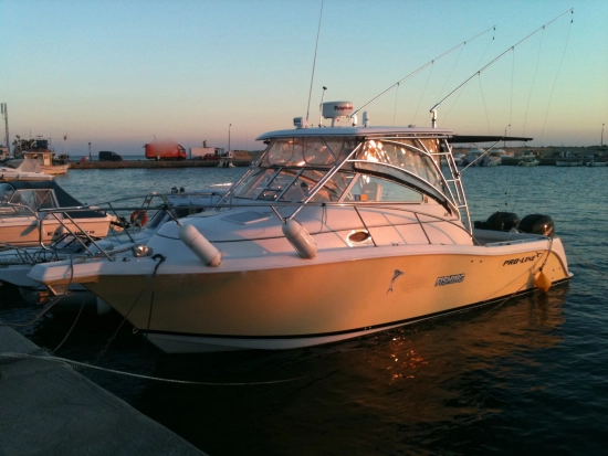 Pro Line Boats 32 Express usado à venda
