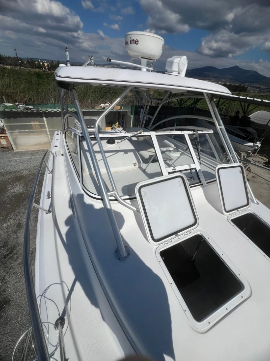 Proline 32 Express usata in vendita