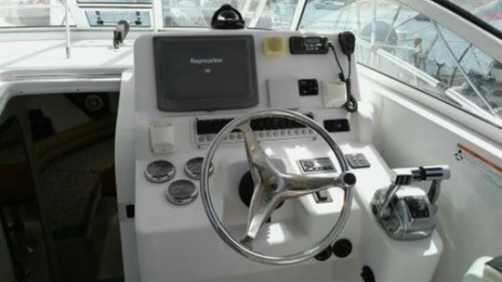 Proline 32 Express usata in vendita