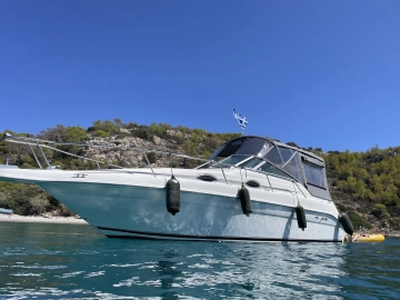 Sea Ray Sundancer 250 usado à venda