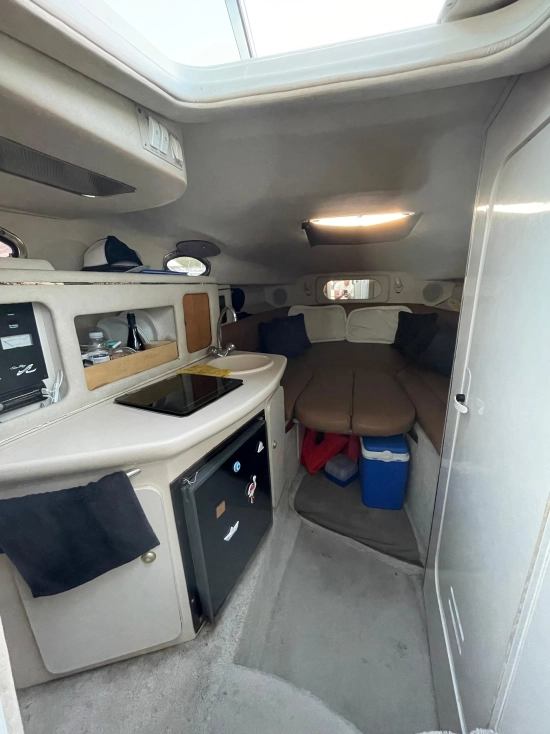 Sea Ray Sundancer 250 usado à venda