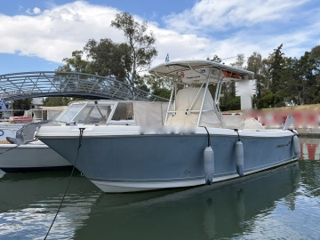 Pro Line Boats 23 usata in vendita