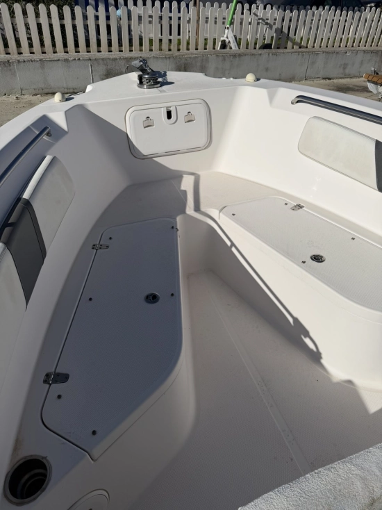 Pro Line Boats 23 de segunda mano en venta