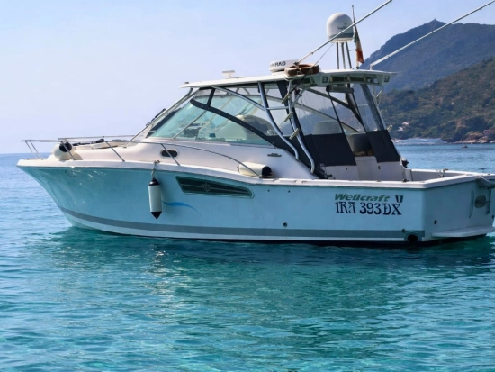 Wellcraft Coastal 360 usata in vendita