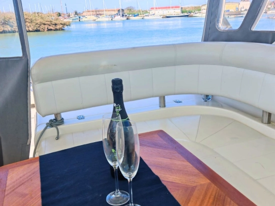Wellcraft Coastal 360 usata in vendita