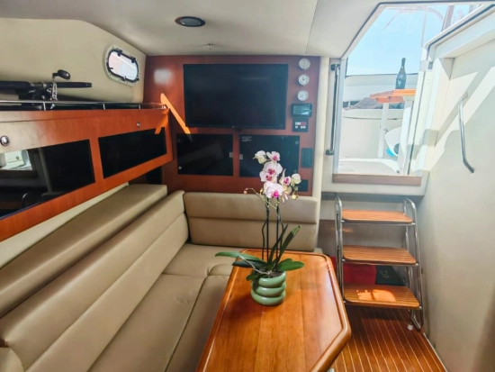 Wellcraft Coastal 360 usata in vendita