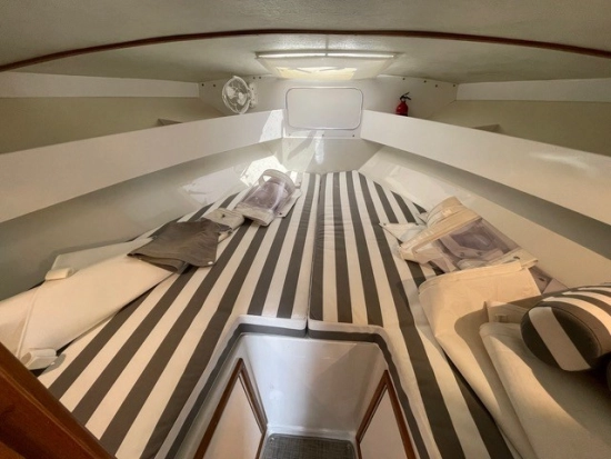 Magnum Marine 35 Hard Top usata in vendita
