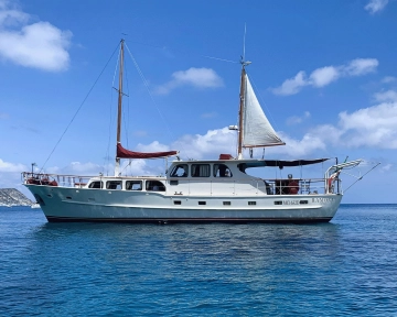 Super Van Craft RAMONA usata in vendita
