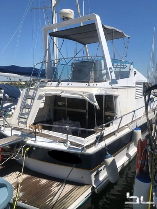 Posillipo 42 de segunda mano en venta