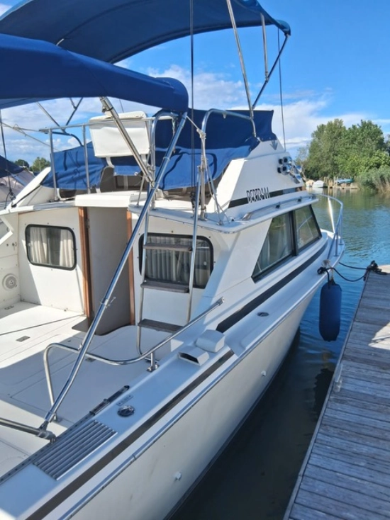 Bertram 28 Cruiser usado à venda