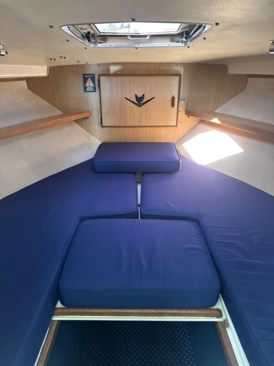 Bertram 28 Cruiser usado à venda