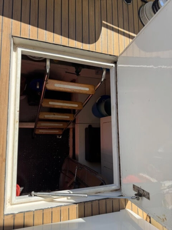 Alfamarine 16.50 usado à venda