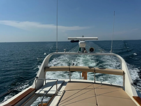 Alfamarine 16.50 usado à venda