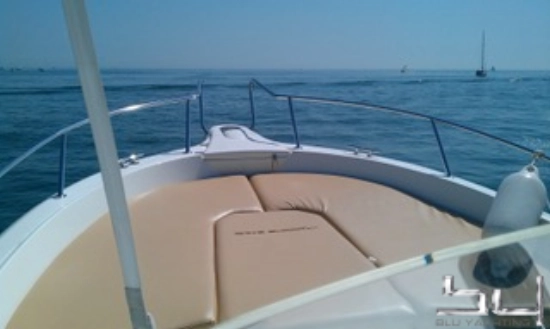 White Shark 246 de segunda mano en venta