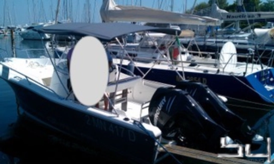 White Shark 246 de segunda mano en venta