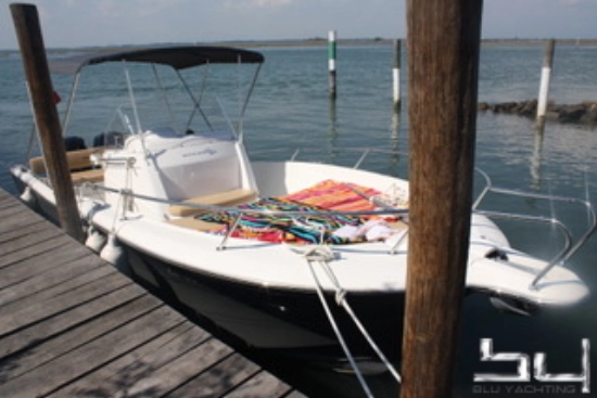 White Shark 246 de segunda mano en venta