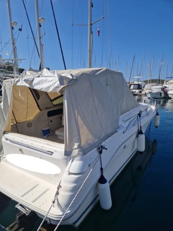 Sea Ray Sundancer 290 usata in vendita