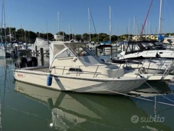 Boston Whaler custom de segunda mano en venta