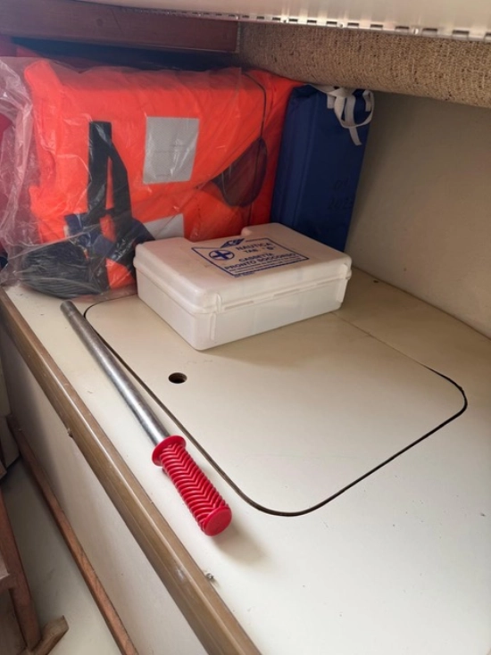 Boston Whaler custom de segunda mano en venta