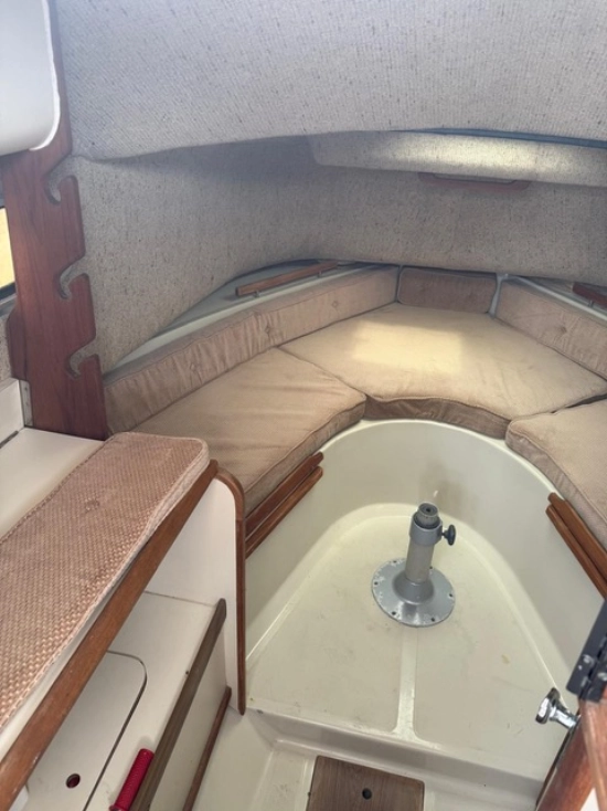 Boston Whaler custom de segunda mano en venta