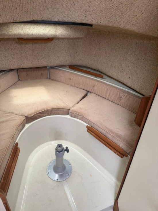 Boston Whaler custom de segunda mano en venta