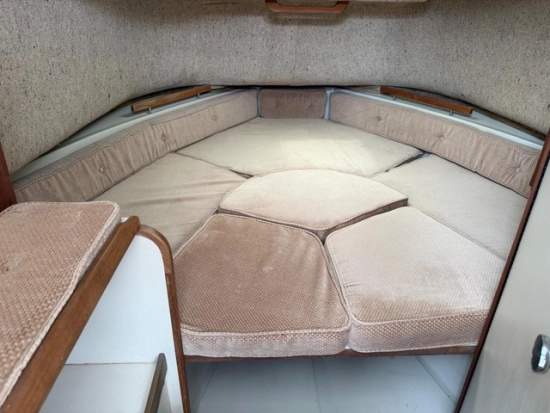 Boston Whaler custom de segunda mano en venta
