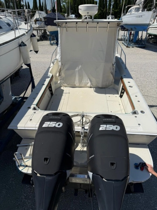 Boston Whaler custom de segunda mano en venta