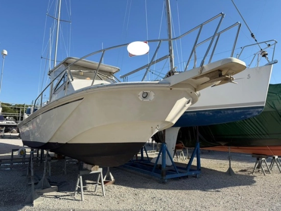 Boston Whaler custom de segunda mano en venta