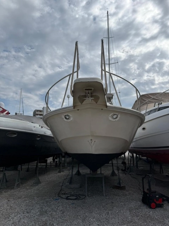 Boston Whaler custom de segunda mano en venta
