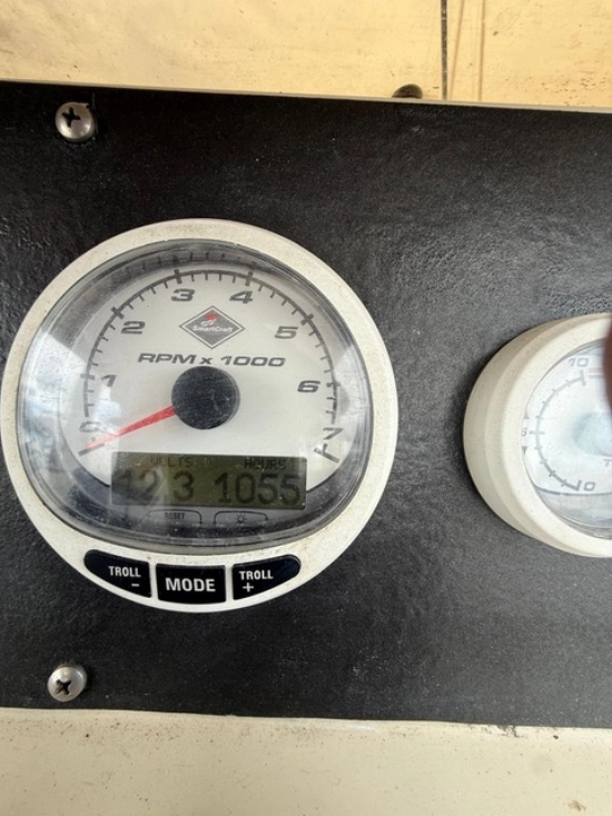 Boston Whaler custom de segunda mano en venta