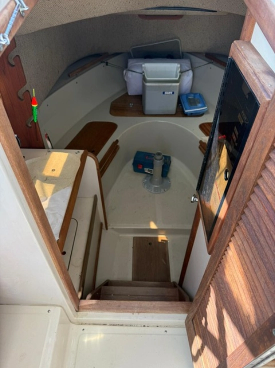Boston Whaler custom de segunda mano en venta