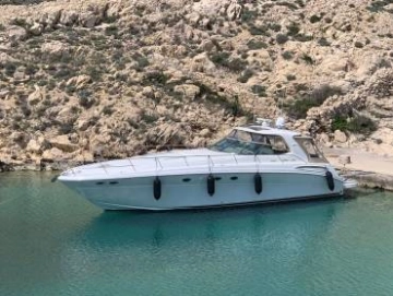 Sea Ray Sundancer 510 de segunda mano en venta