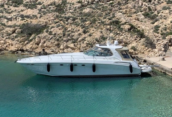 Sea Ray Sundancer 510 de segunda mano en venta