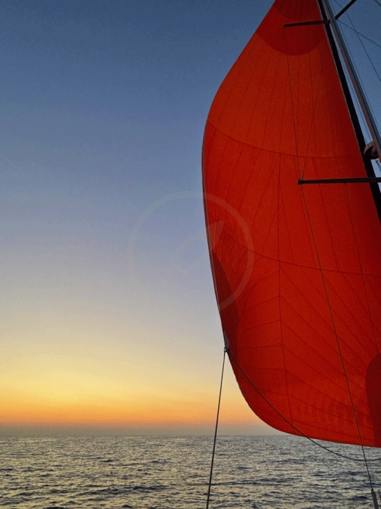 Jeanneau Sun Odyssey 50 DS usado à venda