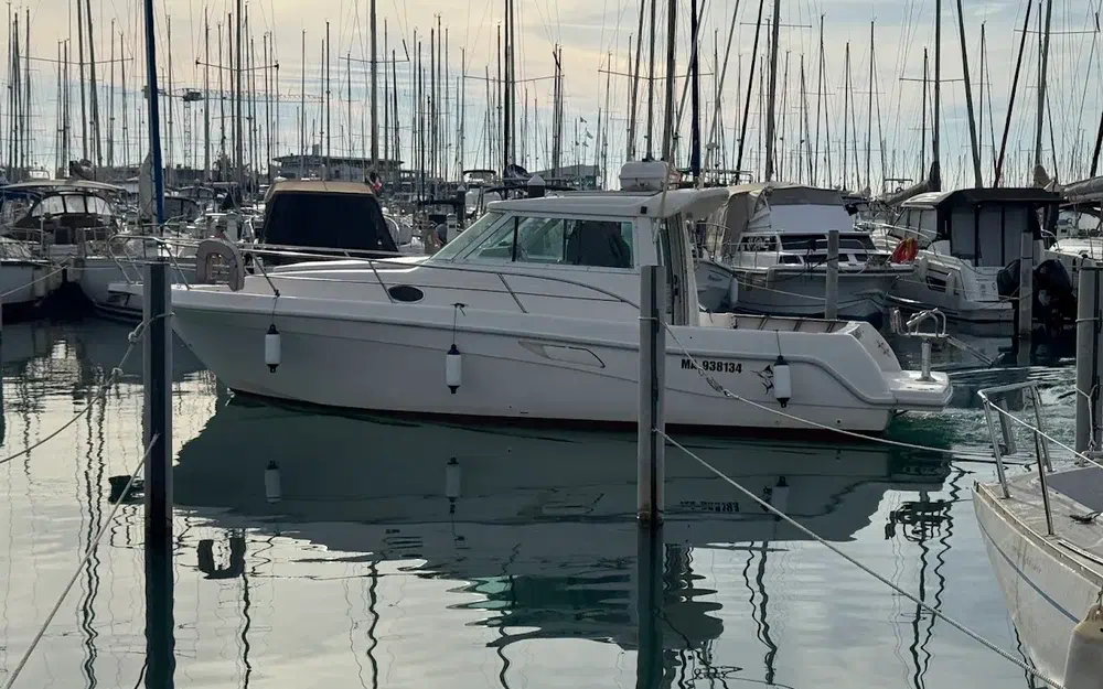 Faeton Moraga 910 de segunda mano en venta