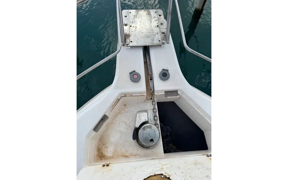 Faeton Moraga 910 de segunda mano en venta