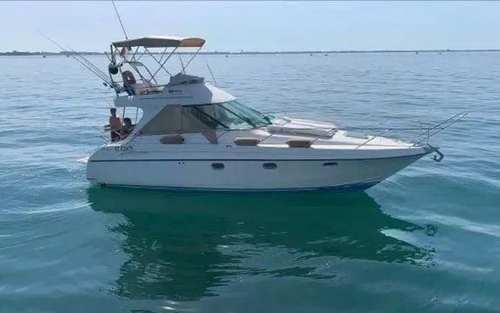 Beneteau Flyer F1 de segunda mano en venta