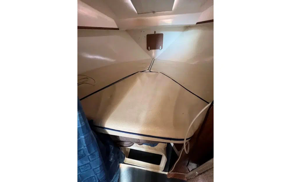 Navimotors Teaser 31 Sport usata in vendita
