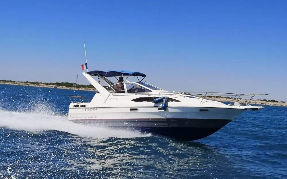 Bayliner 2655 Ciera Sunbridge usata in vendita