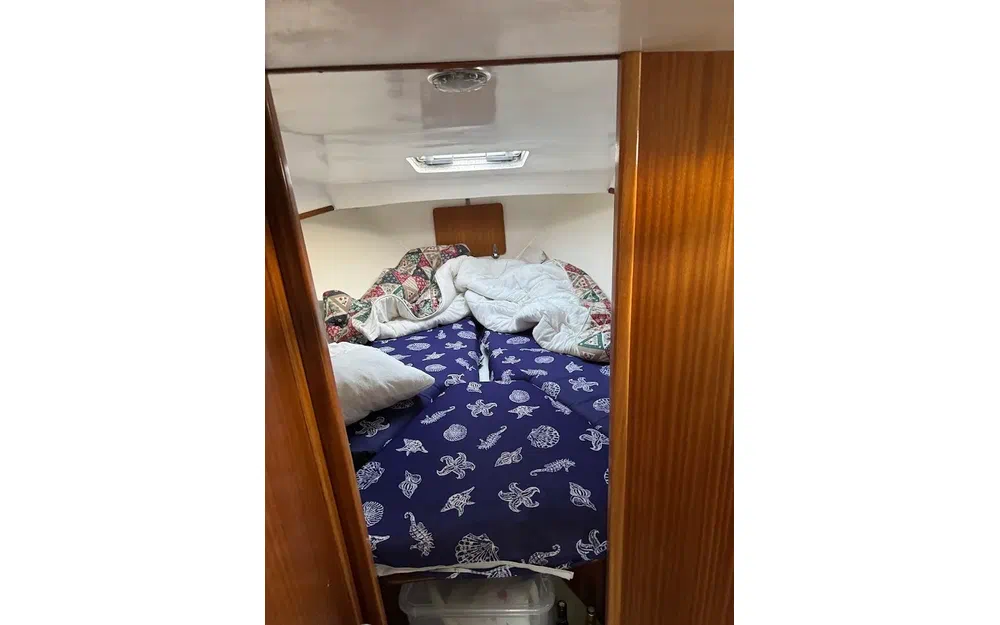 Navimotors Teaser 31 Sport de segunda mano en venta