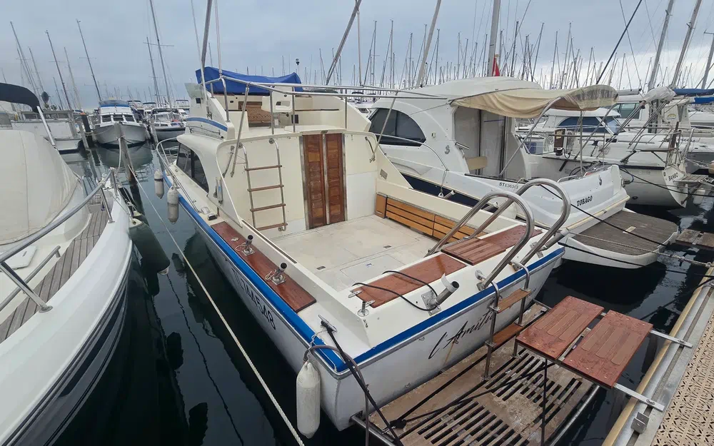 Seabird Condor 29 de segunda mano en venta