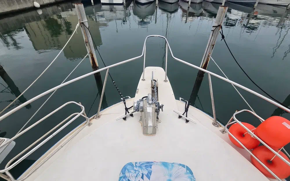 Seabird Condor 29 de segunda mano en venta