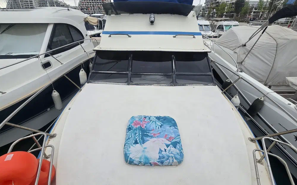Seabird Condor 29 de segunda mano en venta
