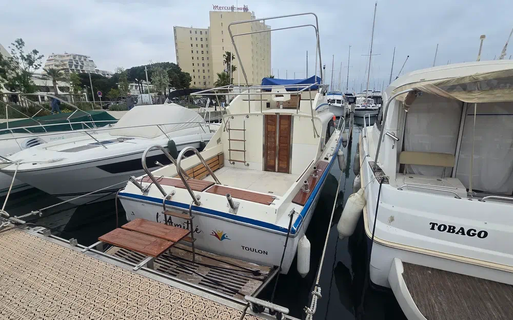 Seabird Condor 29 de segunda mano en venta