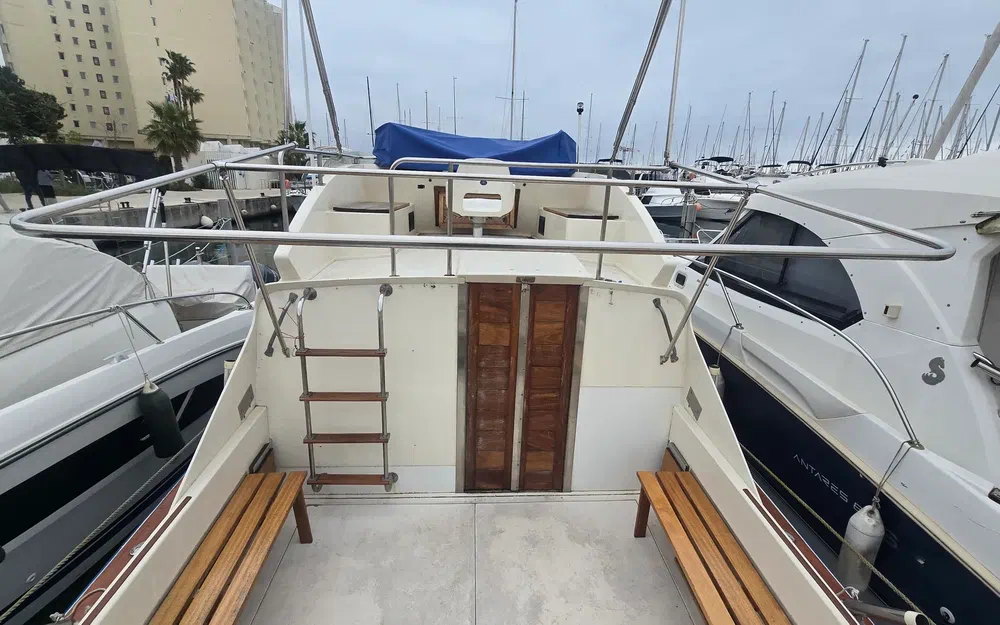 Seabird Condor 29 de segunda mano en venta