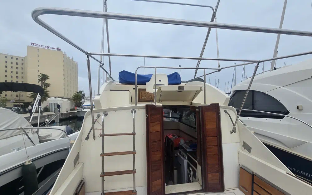 Seabird Condor 29 de segunda mano en venta