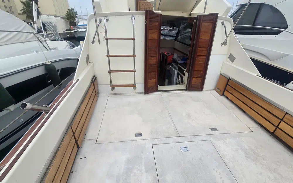Seabird Condor 29 de segunda mano en venta