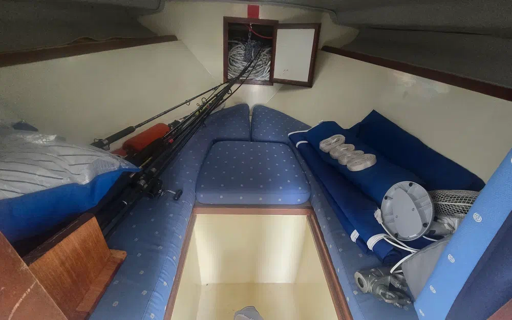Seabird Condor 29 de segunda mano en venta