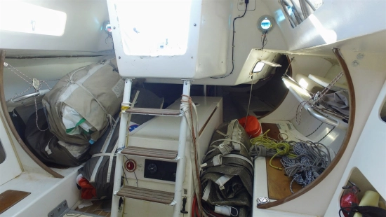Carroll Marine Mumm 36 usado à venda